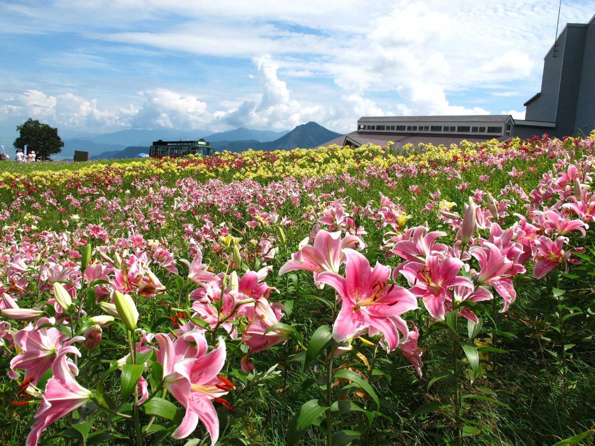 Yuzawa Toei Hotel Zewnętrze zdjęcie